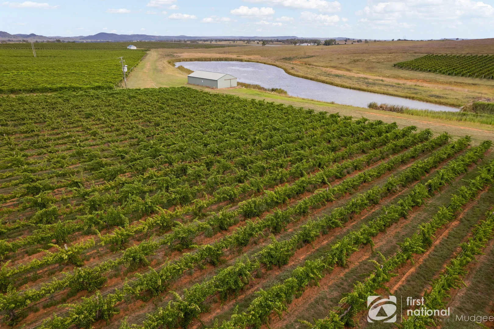 Additional image 2 of 46 Shiraz Drive, Gulgong NSW 2852