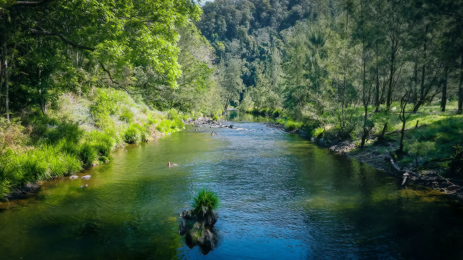 Additional image 44 of 1458 Darkwood Road, Bellingen NSW 2454