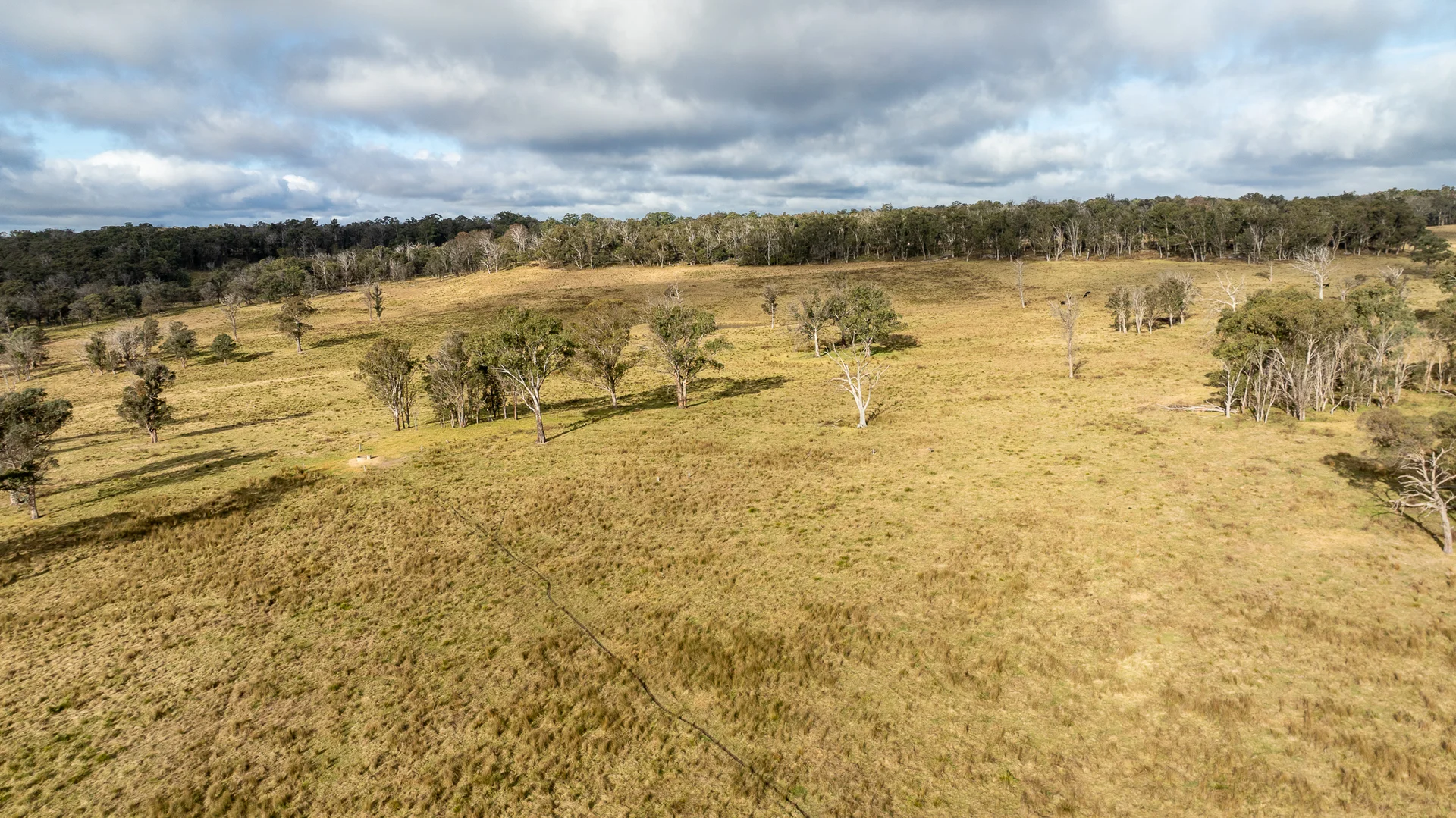 Additional image 24 of 737 Dyamberin Road, Wongwibinda NSW 2350