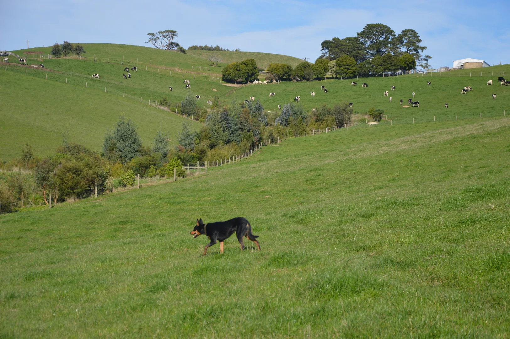 Additional image 3 of 55 Michie Road, Krowera VIC 3945