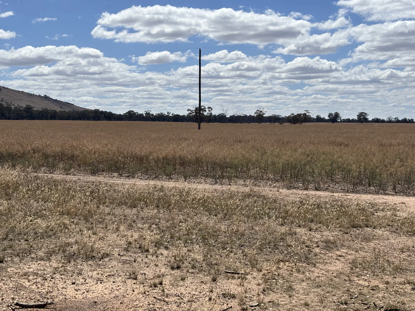 Additional image 10 of 649 Dunolly-Avoca Road, Mount Hooghly VIC 3472