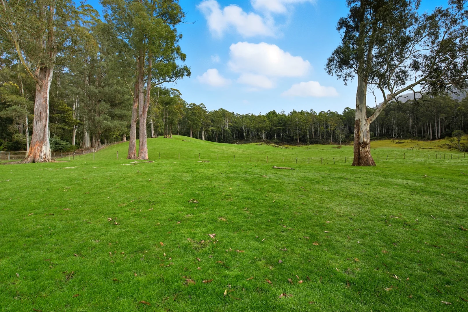 Additional image 13 of 64 Mersey Forest Road, Liena TAS 7304