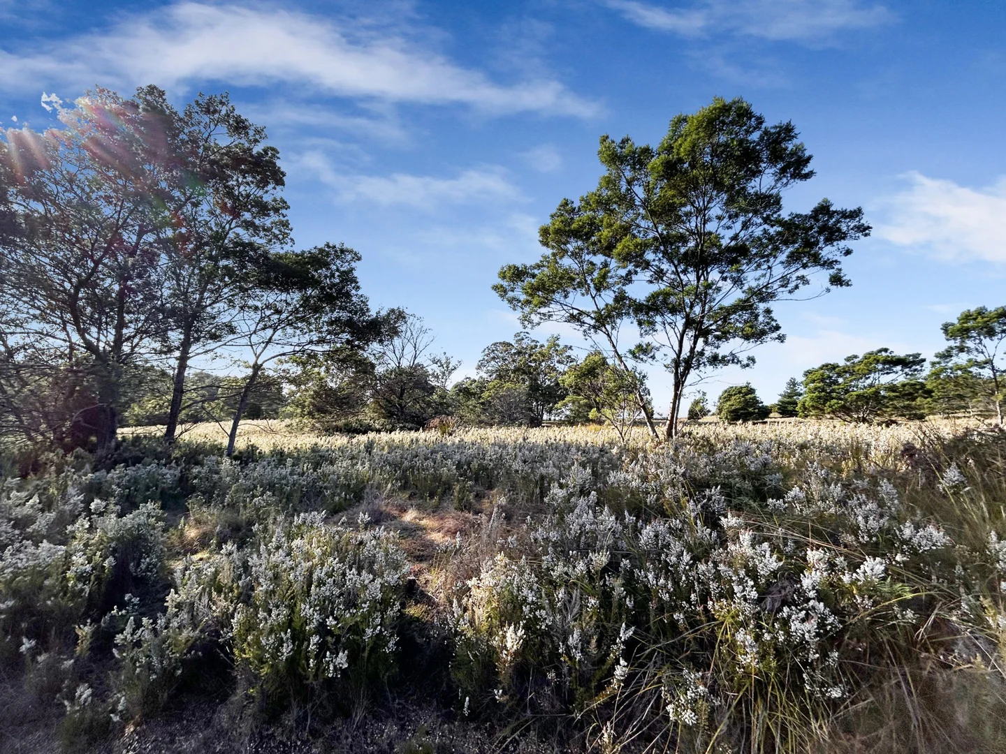 Additional image 12 of 35a Falmouth Street, St Helens TAS 7216