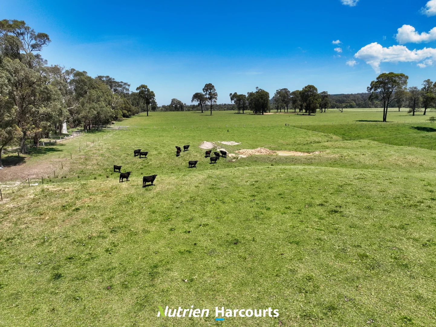 Additional image 4 of 111 Old Walhalla Road, Toongabbie VIC 3856