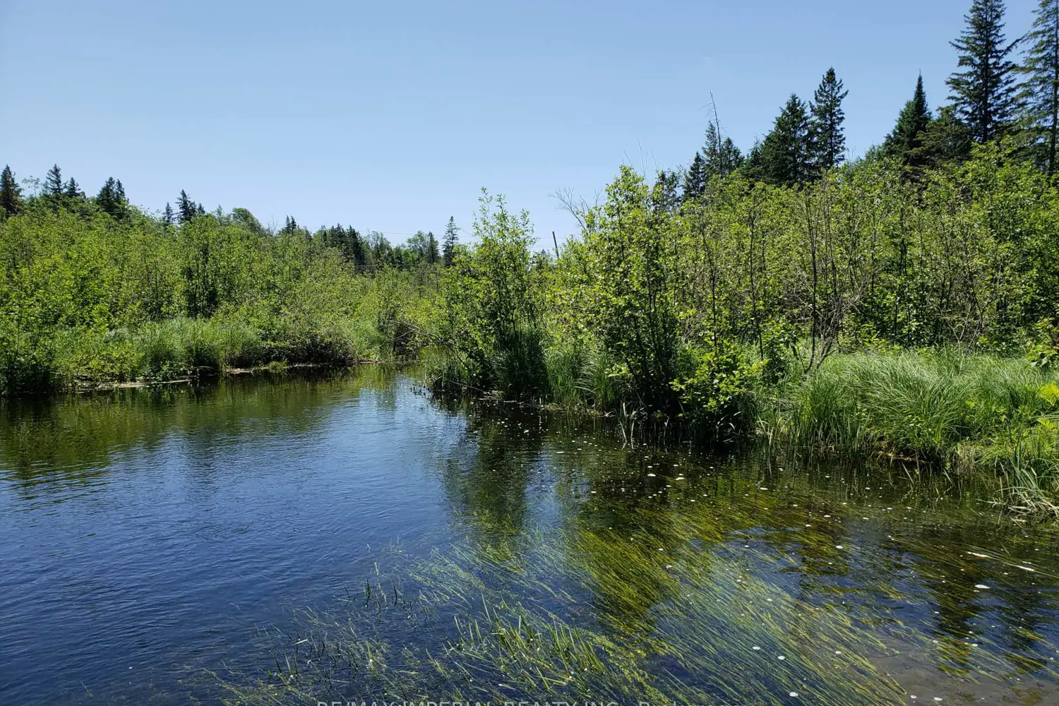 Additional image 8 of 15572 Highway 17