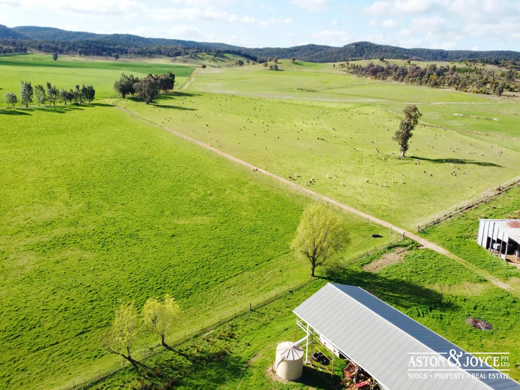 Additional image 29 of 3378 Mid Western Highway, Grenfell NSW 2810