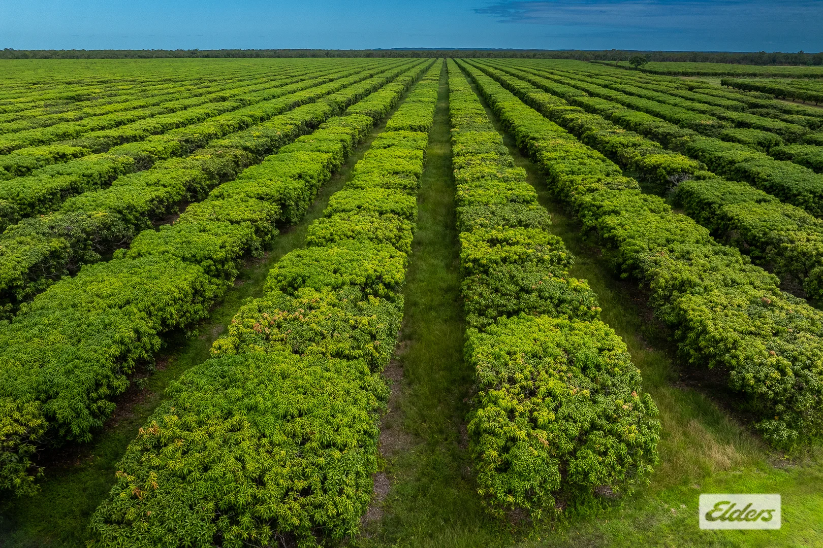 Additional image 5 of Connelly Road, Lambells Lagoon NT 0822