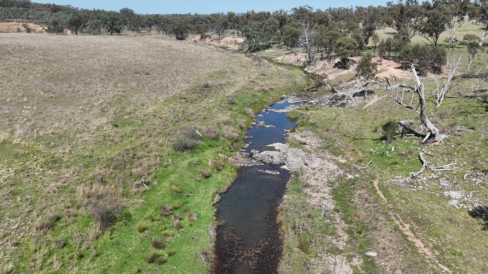Additional image 5 of "Coolendoon" 810 The Pocket Road, Bukkulla NSW 2360