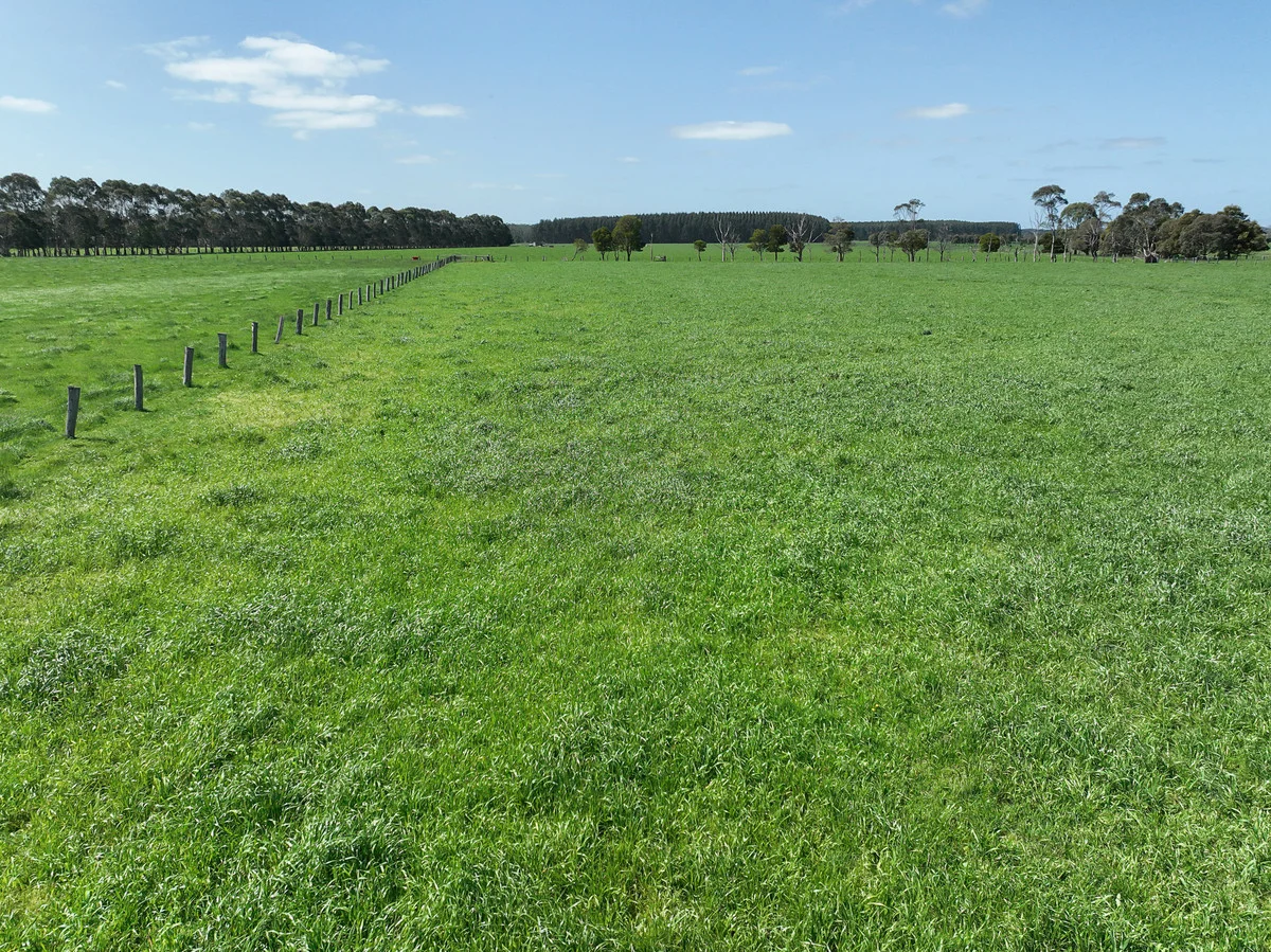 Additional image 11 of 260 Swan Marsh-Stonyford Road, Pirron Yallock VIC 3249