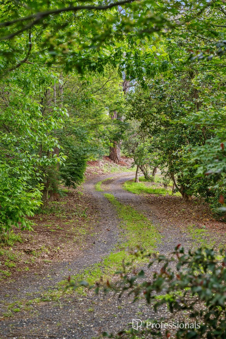 Additional image 32 of 71 Beenak Road, Wandin North VIC 3139