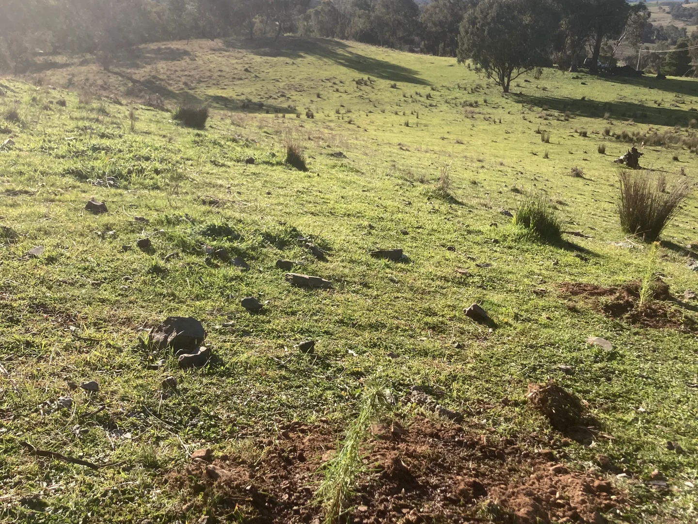 Additional image 4 of 27 Oak Street, Reids Flat NSW 2586