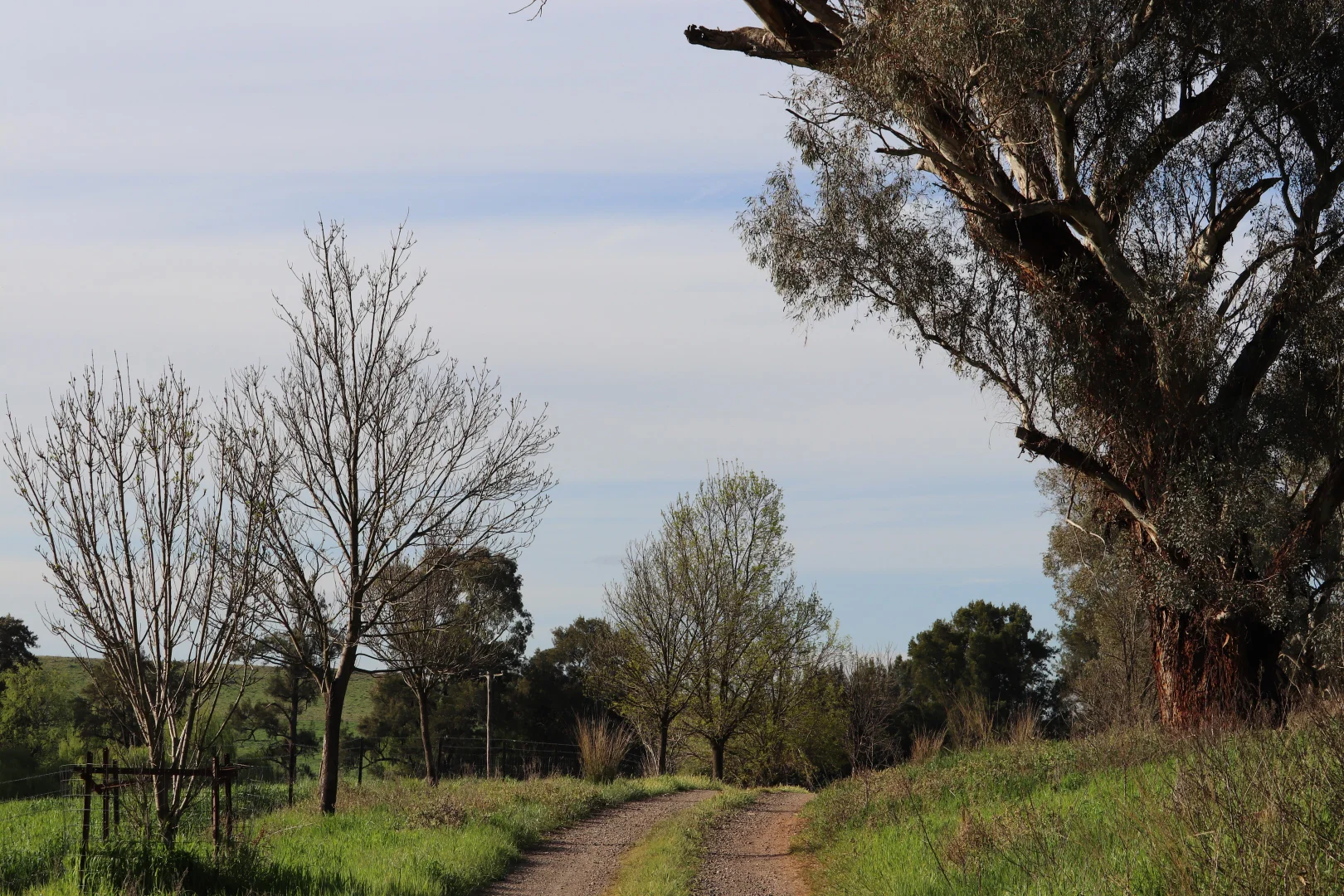 Additional image 17 of 2350 George Russell Drive, Canowindra NSW 2804