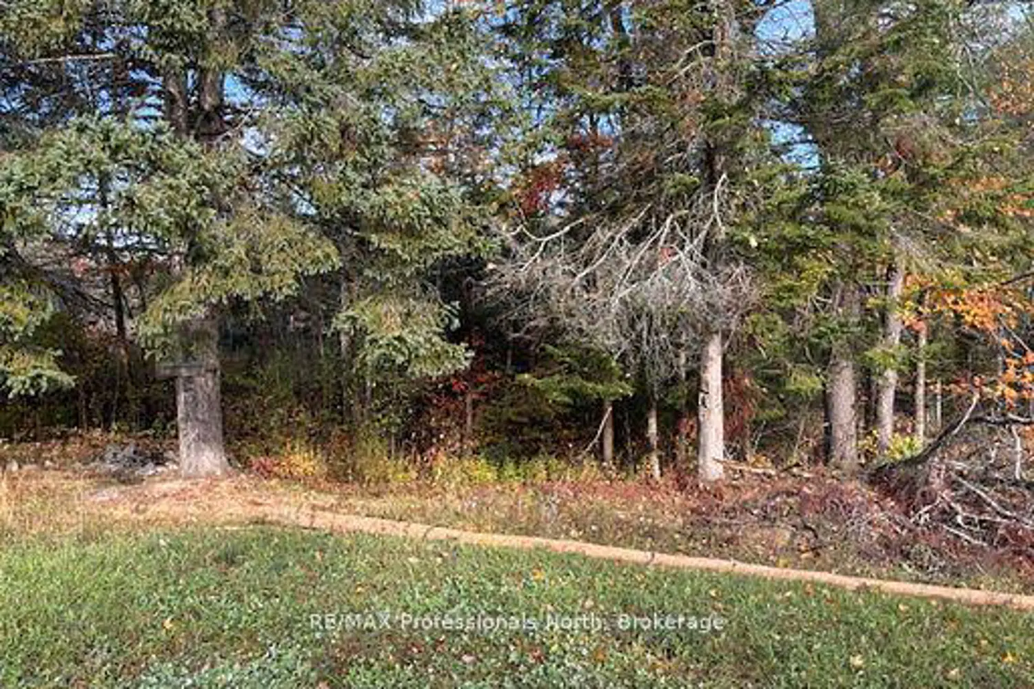 Additional image 8 of 4326 County Road 121 Road