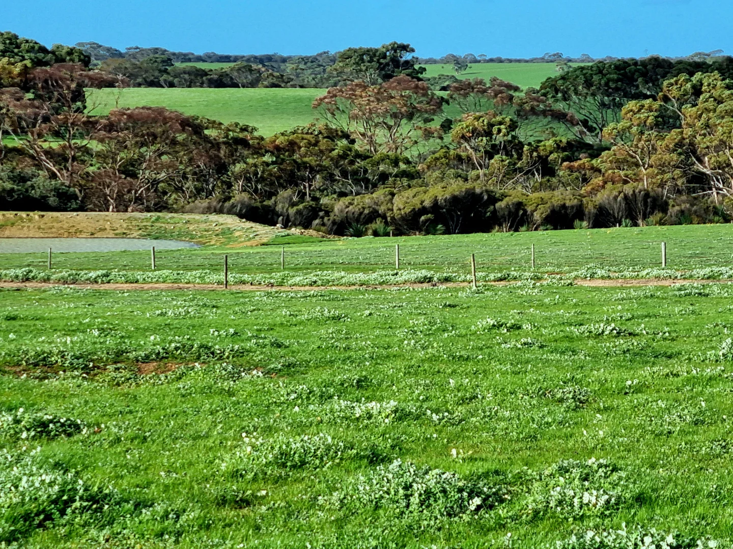 Additional image 15 of 958 Crabbs Road, Newland SA 5223