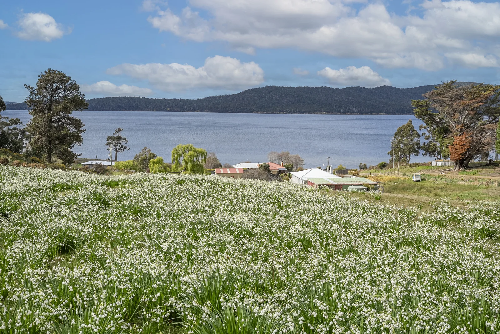 Additional image 13 of Lot 3/14 Cliffords Road, Gordon TAS 7150