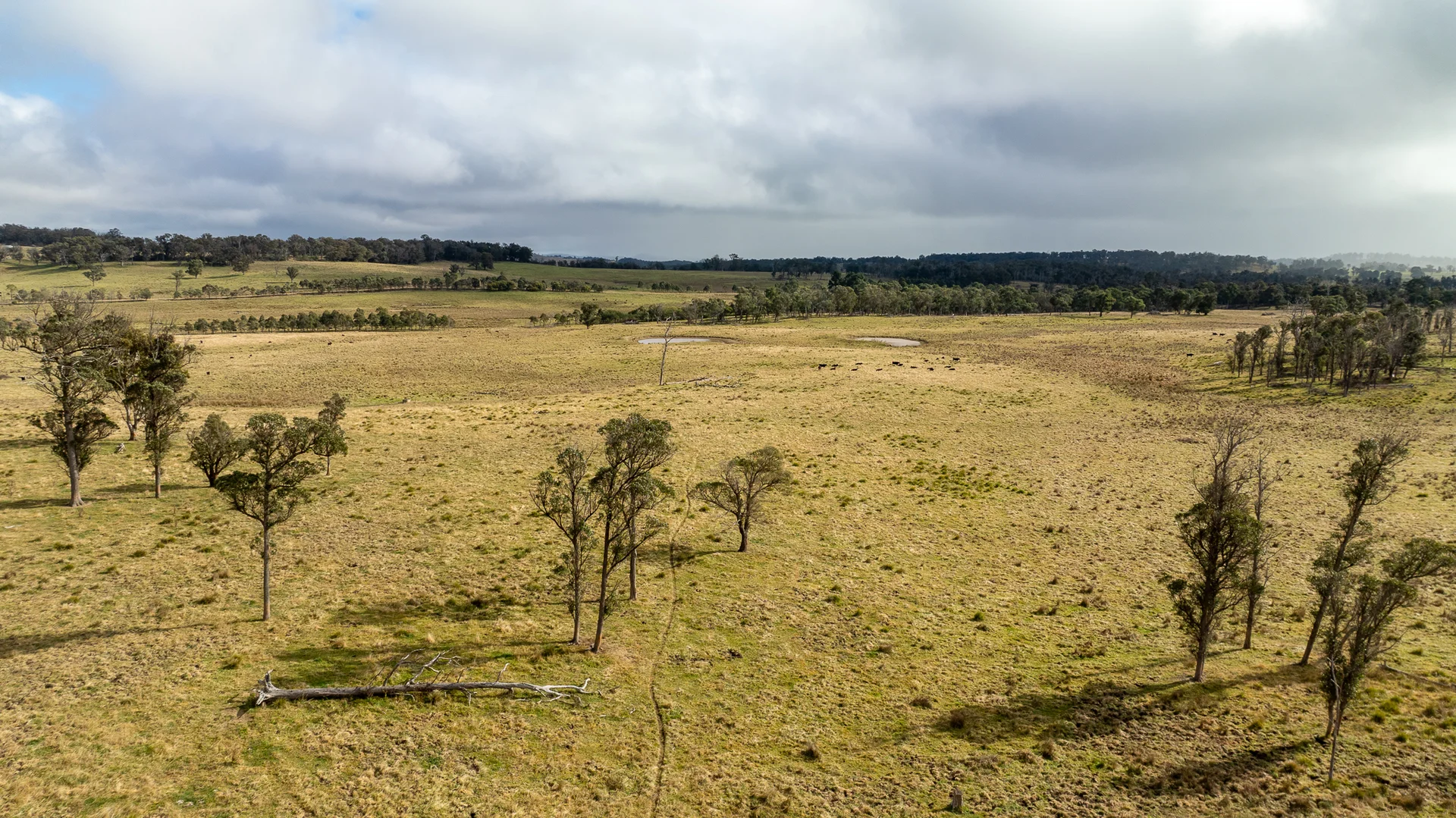 Additional image 4 of 737 Dyamberin Road, Wongwibinda NSW 2350