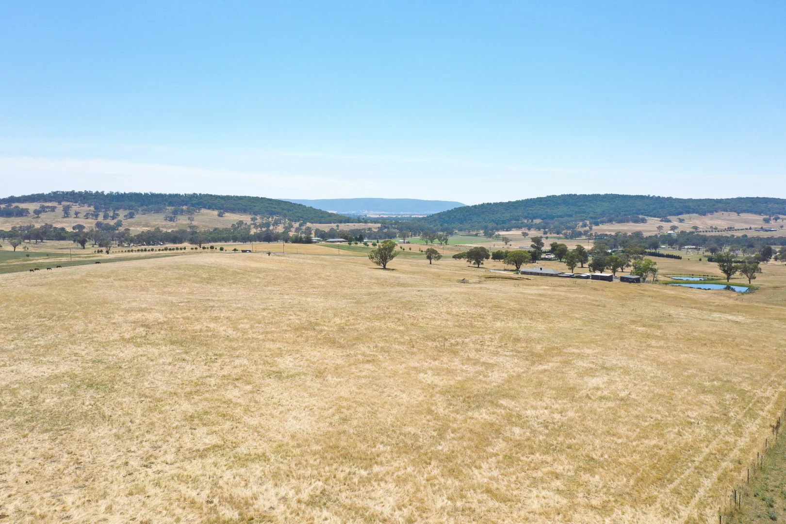 Additional image 2 of 195 Wambanumba Drive, Young NSW 2594