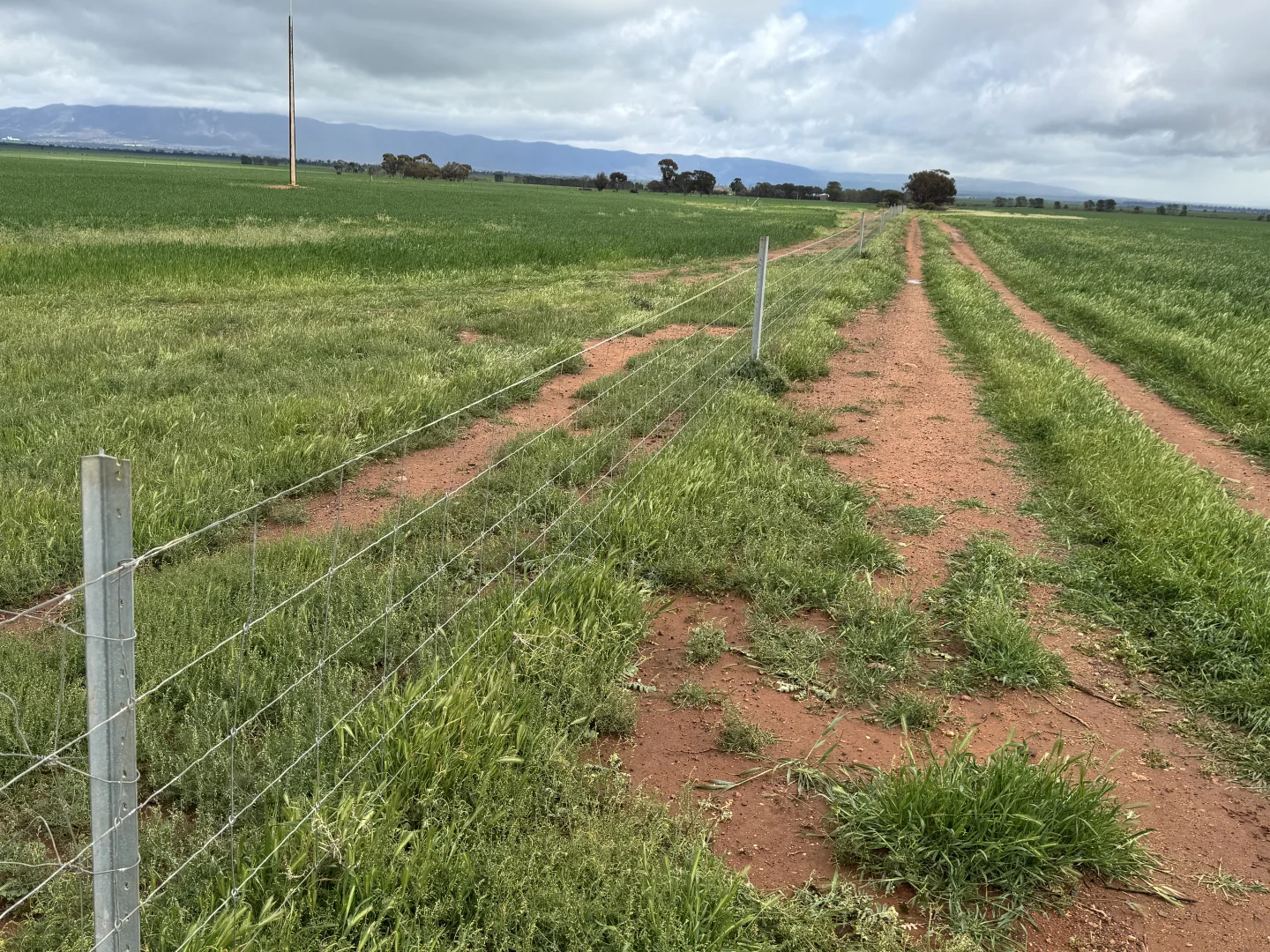 Additional image 13 of 434 Schmidt Road, Willowie SA 5431