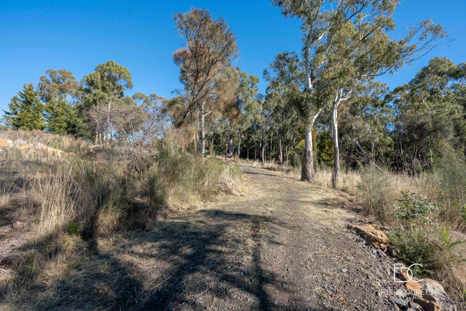 Additional image 5 of 62 Peel Street, West Launceston TAS 7250