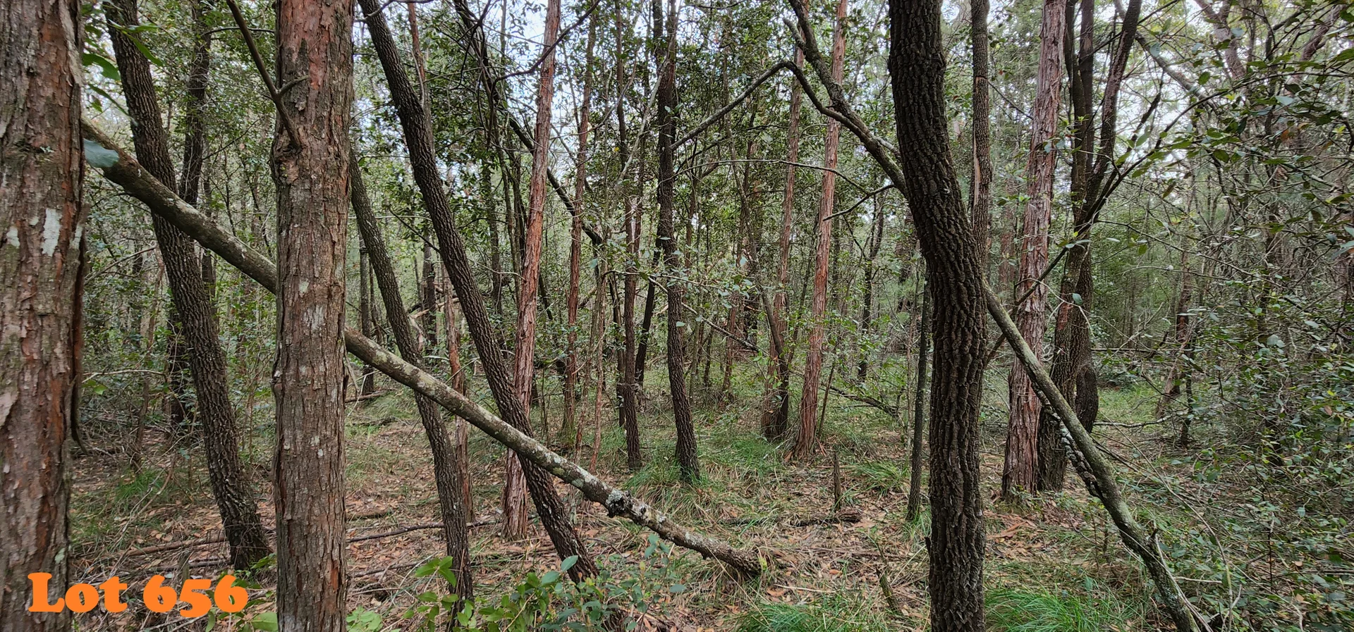 Additional image 2 of lot 655,658,660-661, Clarendon Cres, Basin View NSW 2540