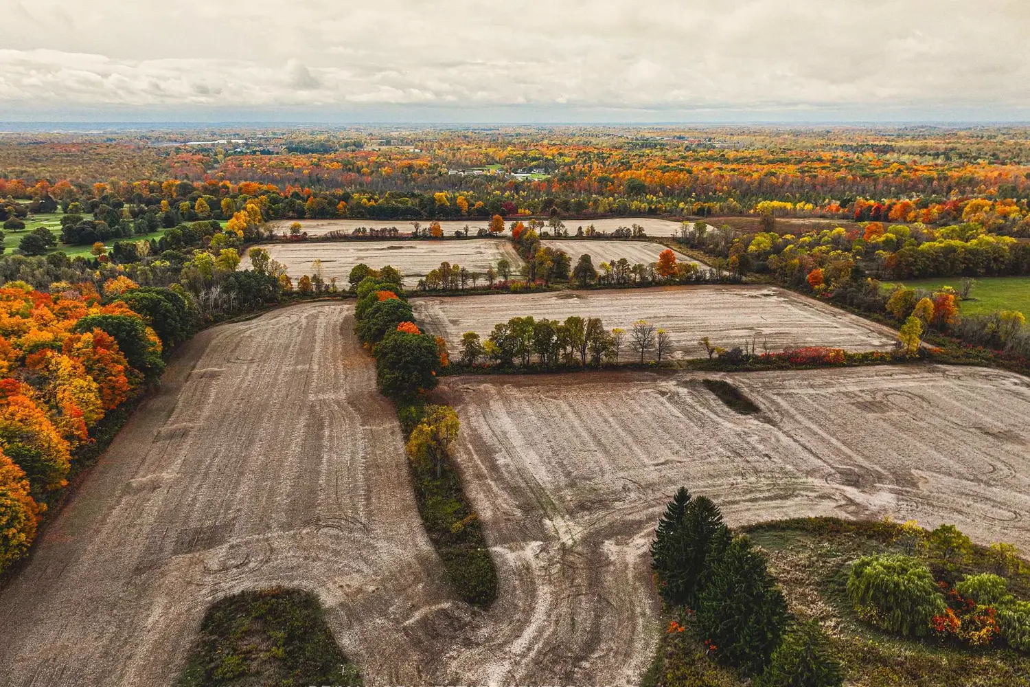 Additional image 9 of 3415 Cedar Springs Road