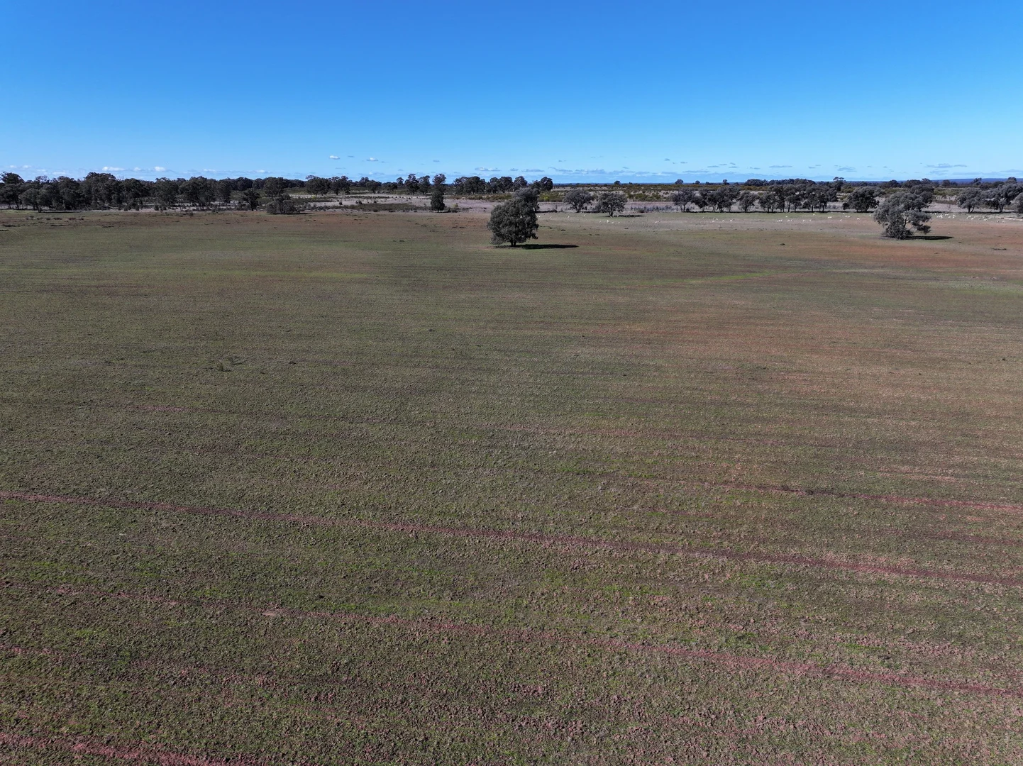 Additional image 30 of 'Belmont' 71R Maiala Road, Eumungerie NSW 2822