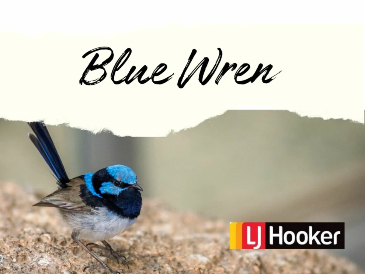 6 128 Dappo Road, Narromine NSW 2821