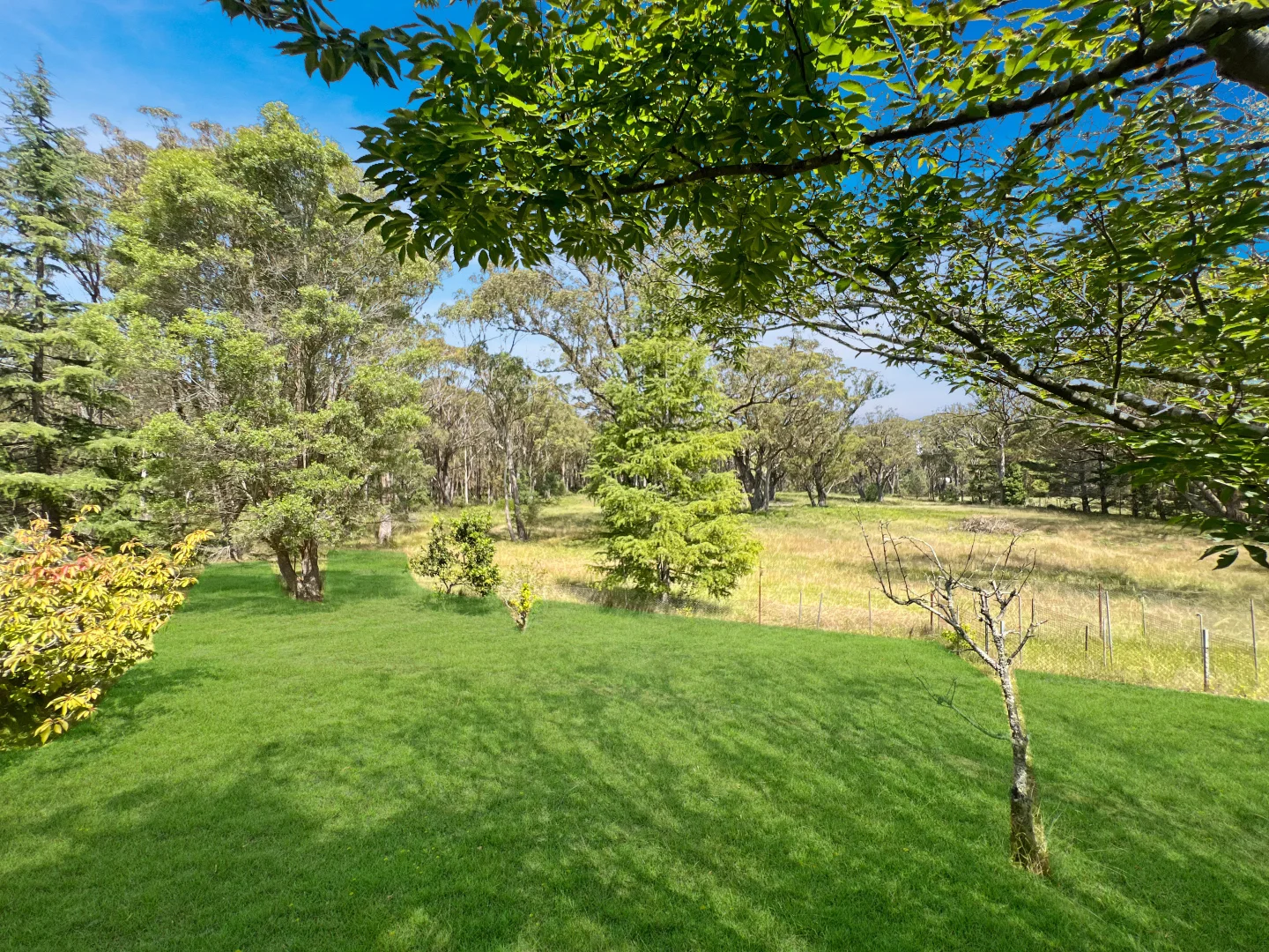Additional image 16 of 40 Allambie Road, Woodlands NSW 2575