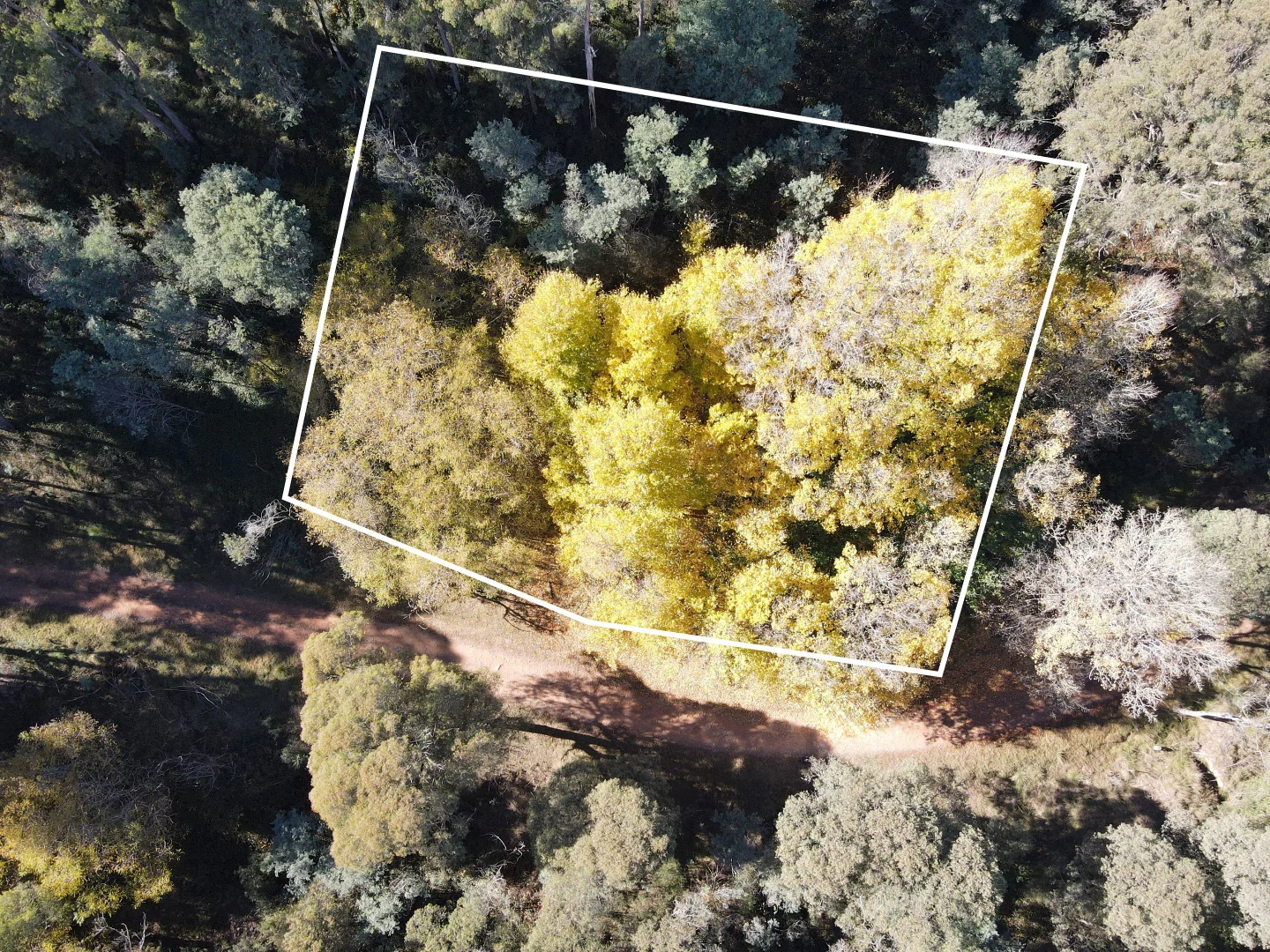 Additional image 2 of CA1/SEC 5 Buckland River Track, Buckland VIC 3740