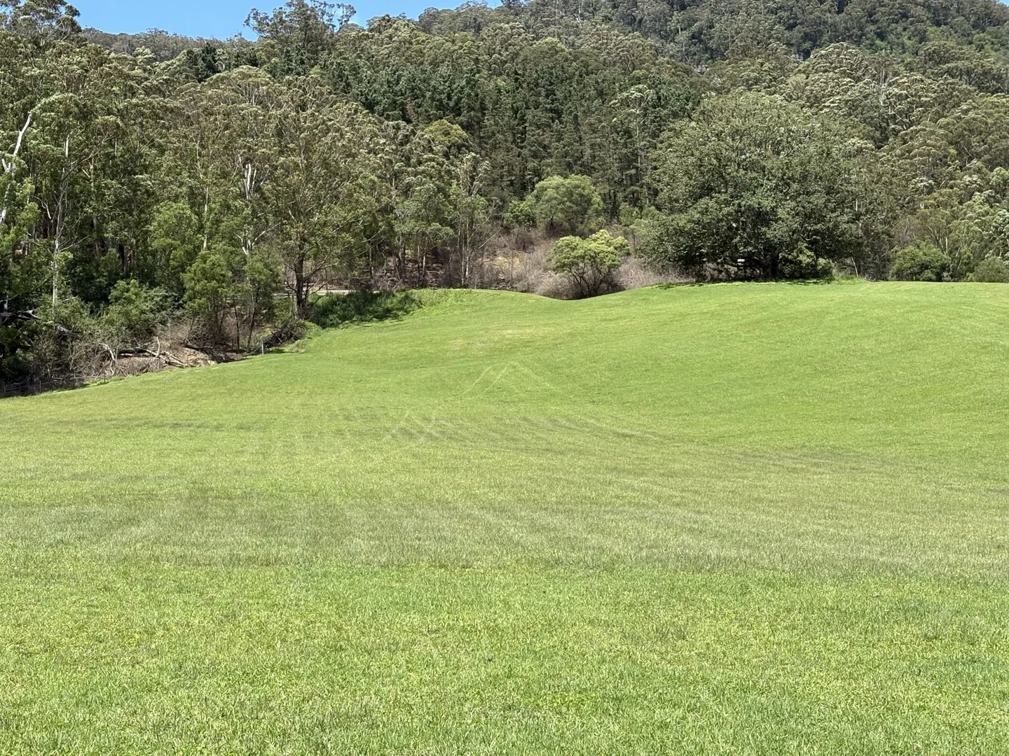 Additional image 21 of 65c Marden Lane, Kangaroo Valley NSW 2577