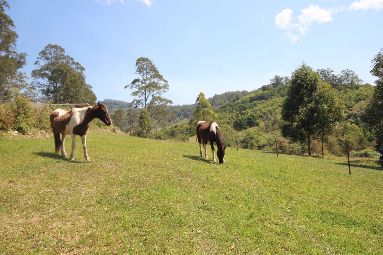 Additional image 27 of 1085 Pappinbarra Road, Lower Pappinbarra NSW 2446