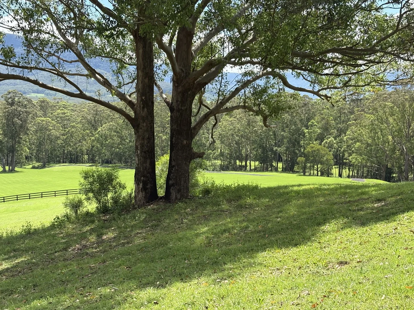 Additional image 17 of 65c Marden Lane, Kangaroo Valley NSW 2577