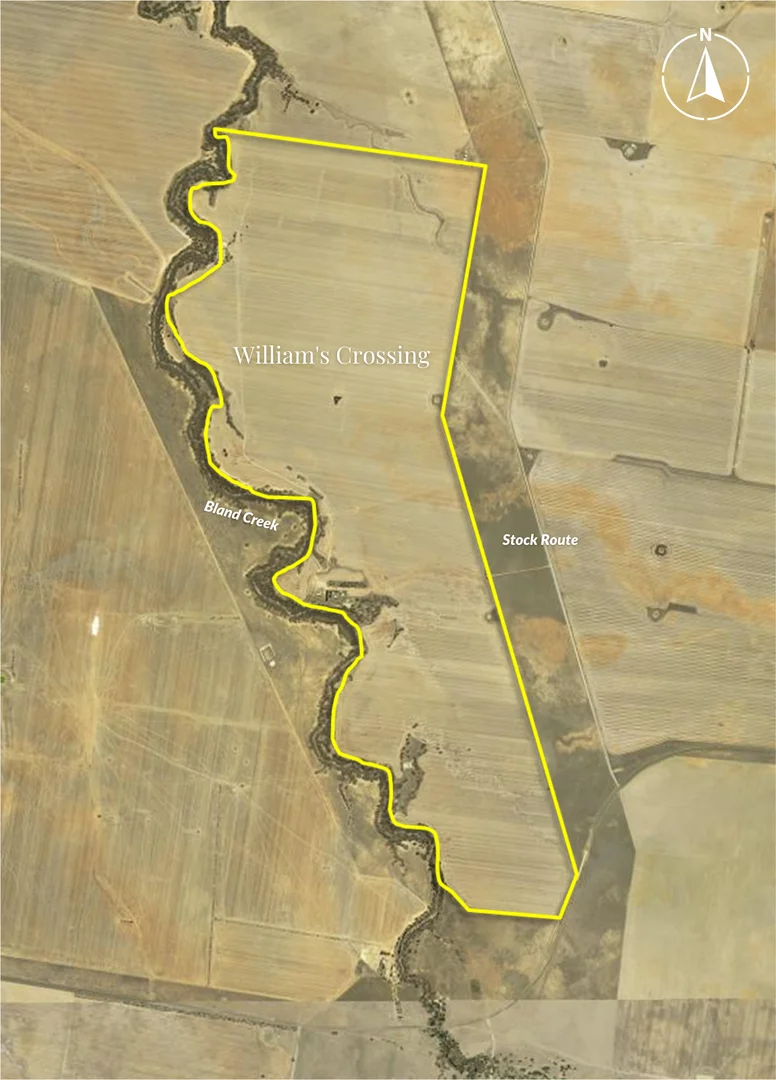 Additional image 18 of 'Williams Crossing' 139 Harris Lane, Quandialla NSW 2721