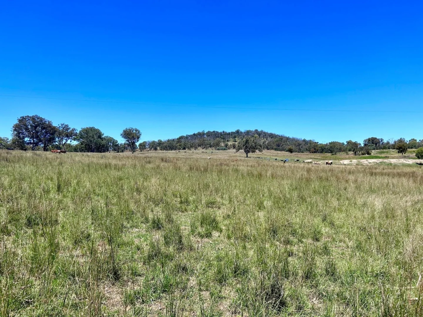 Additional image 5 of Lot 322 Jenkyn Lane, Uralla NSW 2358