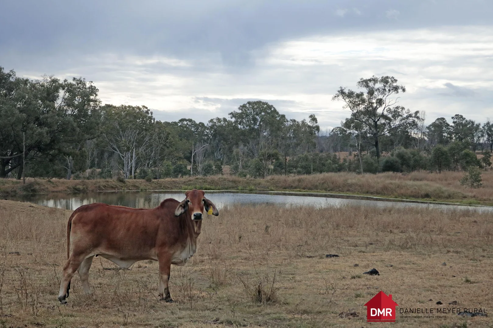 Additional image 18 of Lot 33-35 Bilboolan Road, Eidsvold QLD 4627