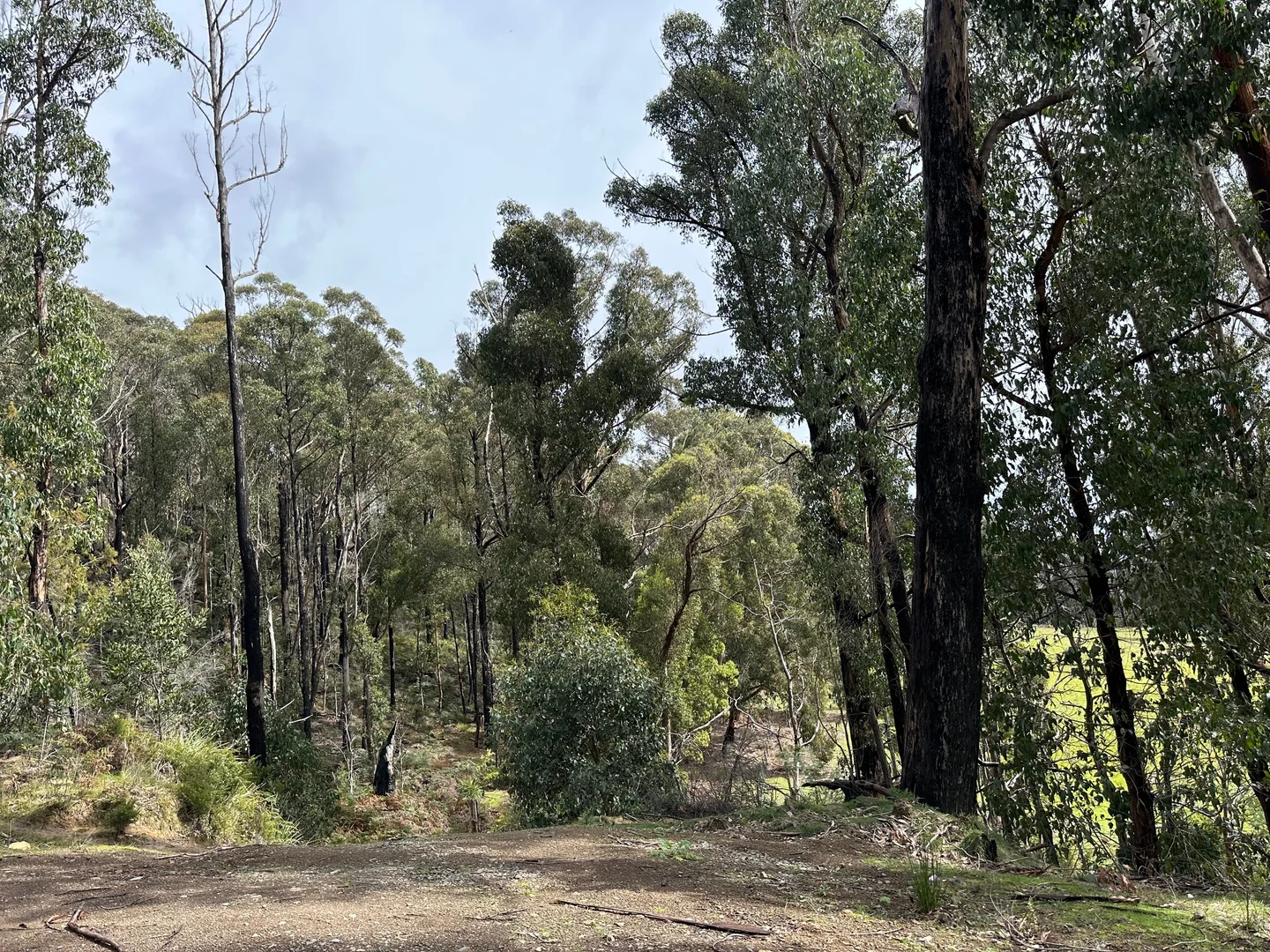Additional image 7 of 1 Sunny Hills Road, Glen Huon TAS 7109