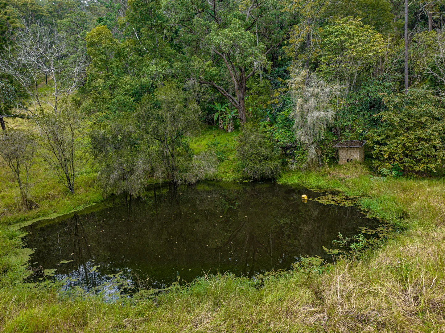 Additional image 26 of 574 Horseshoe Creek Road, Upper Horseshoe Creek NSW 2474