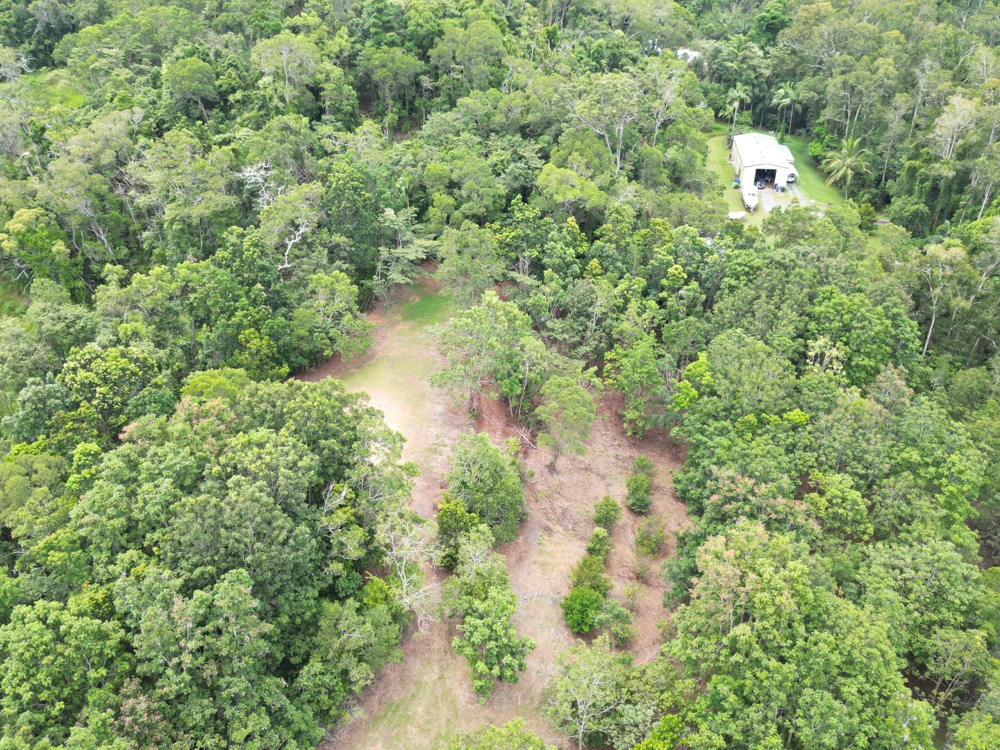 Additional image 16 of 2869 Mossman Daintree Road, Lower Daintree, Daintree QLD 4873