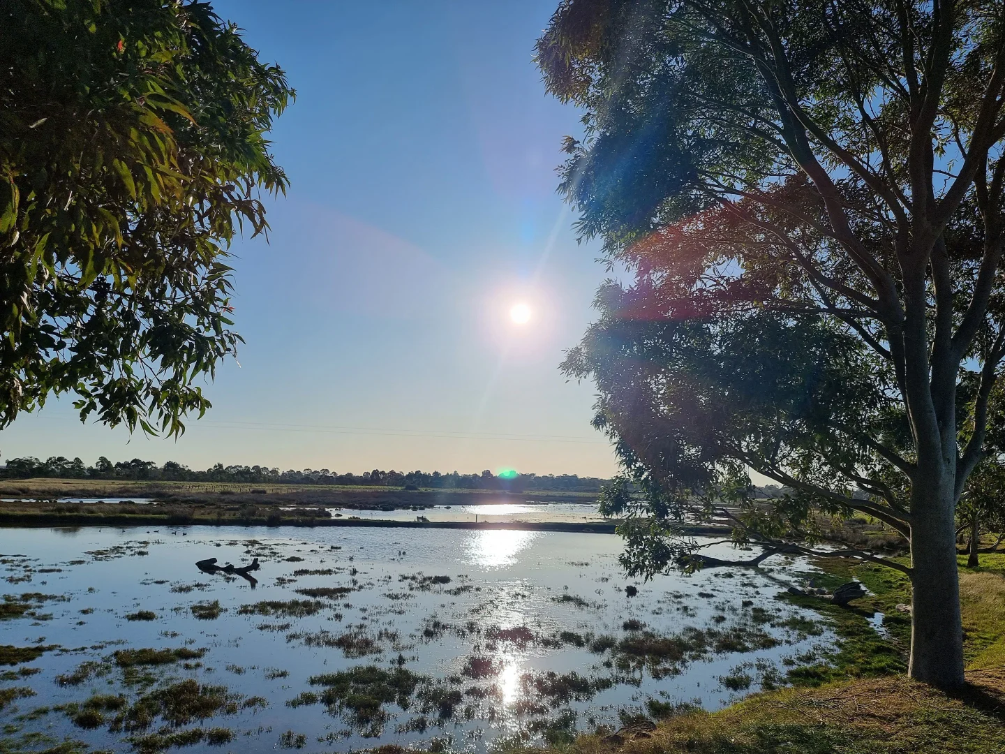 Additional image 23 of 111 CRAIGS LANE, Pearcedale VIC 3912