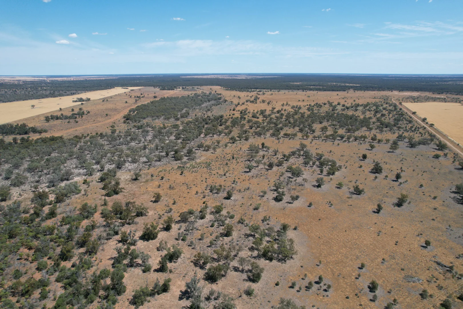 Additional image 15 of 3282 Gungalman Road, Carinda NSW 2831