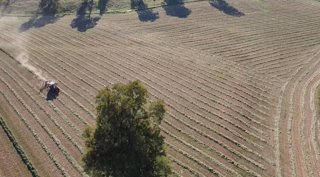 Additional image 9 of 2350 George Russell Drive, Canowindra NSW 2804