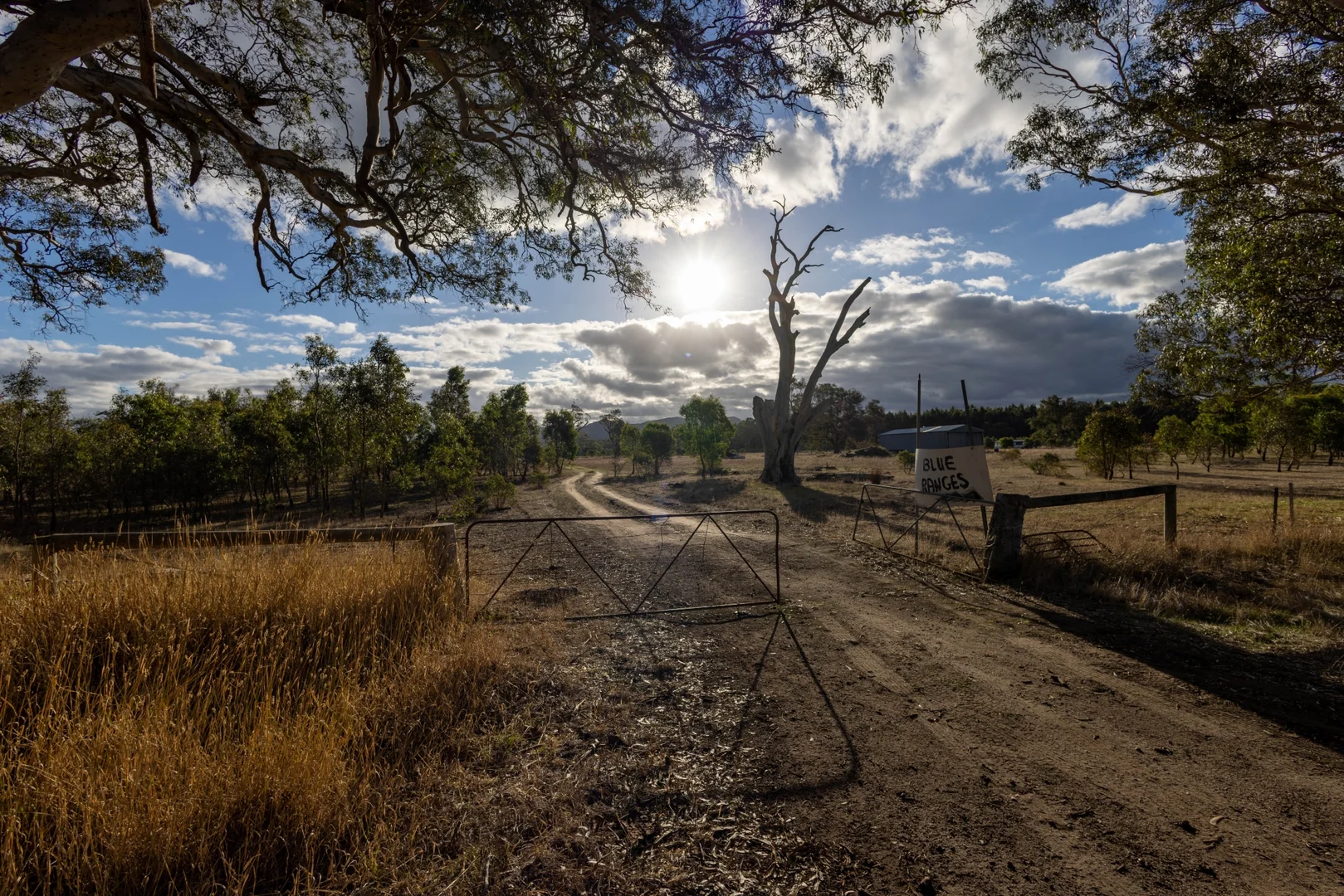 Additional image 13 of 1250 Lynchs Crossing Rd, Glenthompson VIC 3293