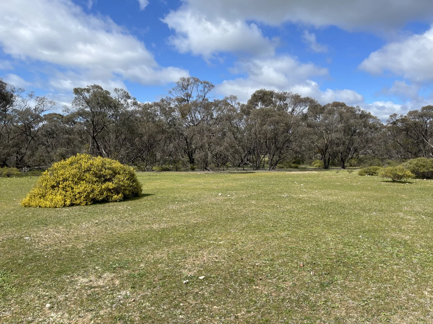 6803 Calder Highway, Wedderburn VIC 3518