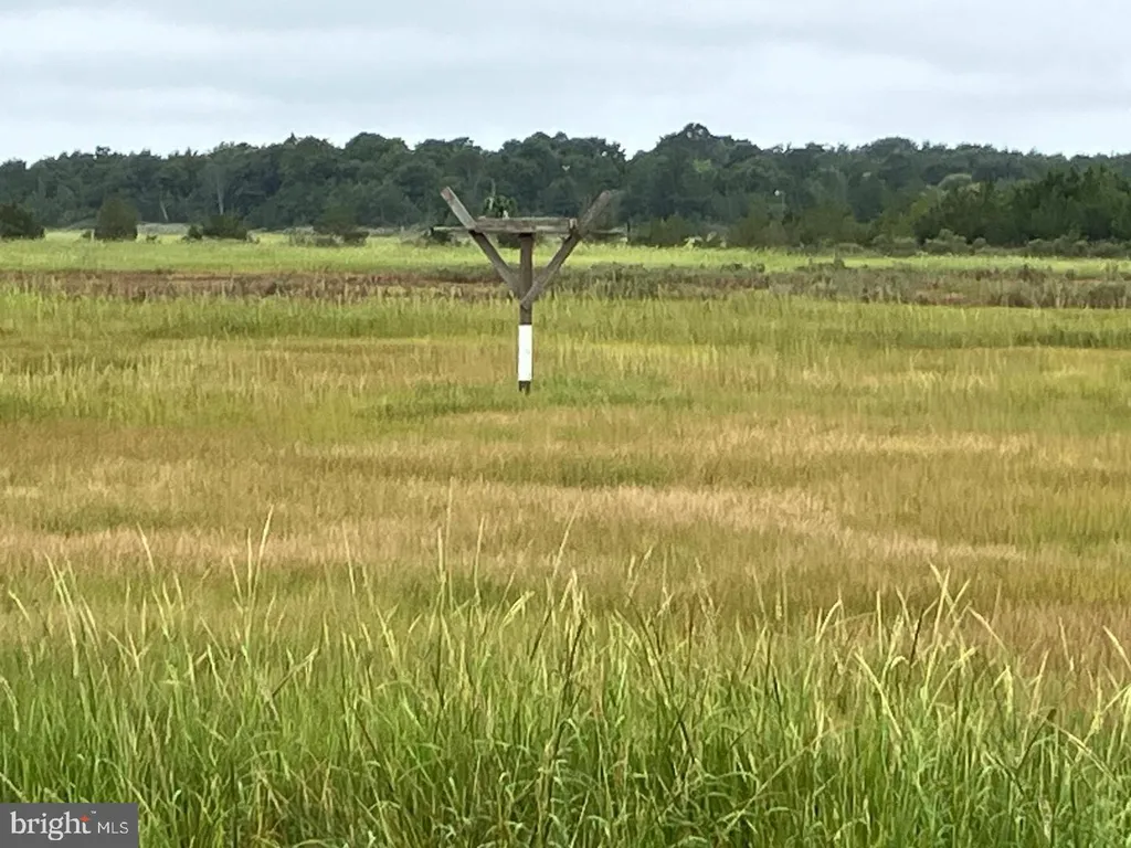 Additional image 7 of Lot 517 Beach Plum Drive, Milford, DE 19963