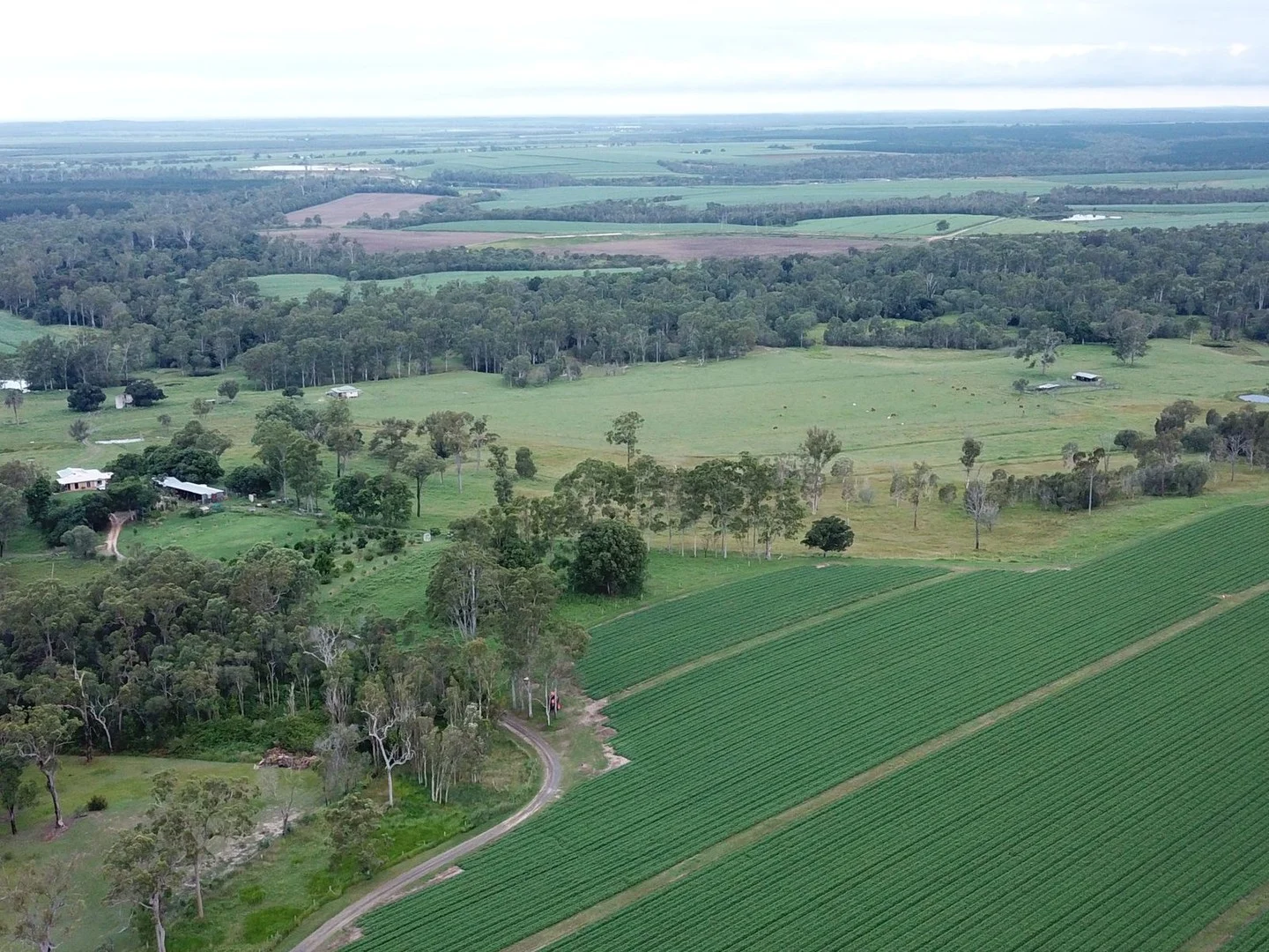 84 Foleys Road, North Gregory QLD 4660