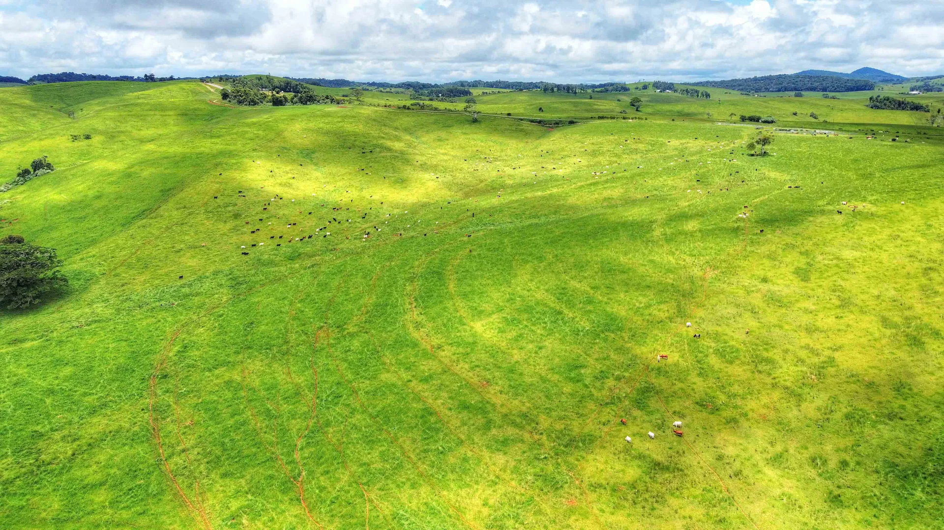 Additional image 3 of Evelyn QLD 4888