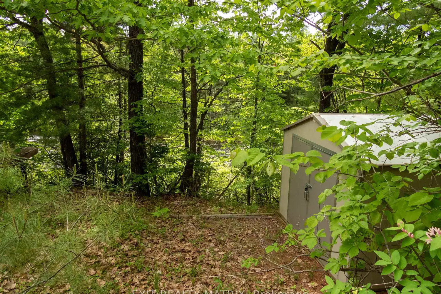 Additional image 16 of 12654 Lanark Road