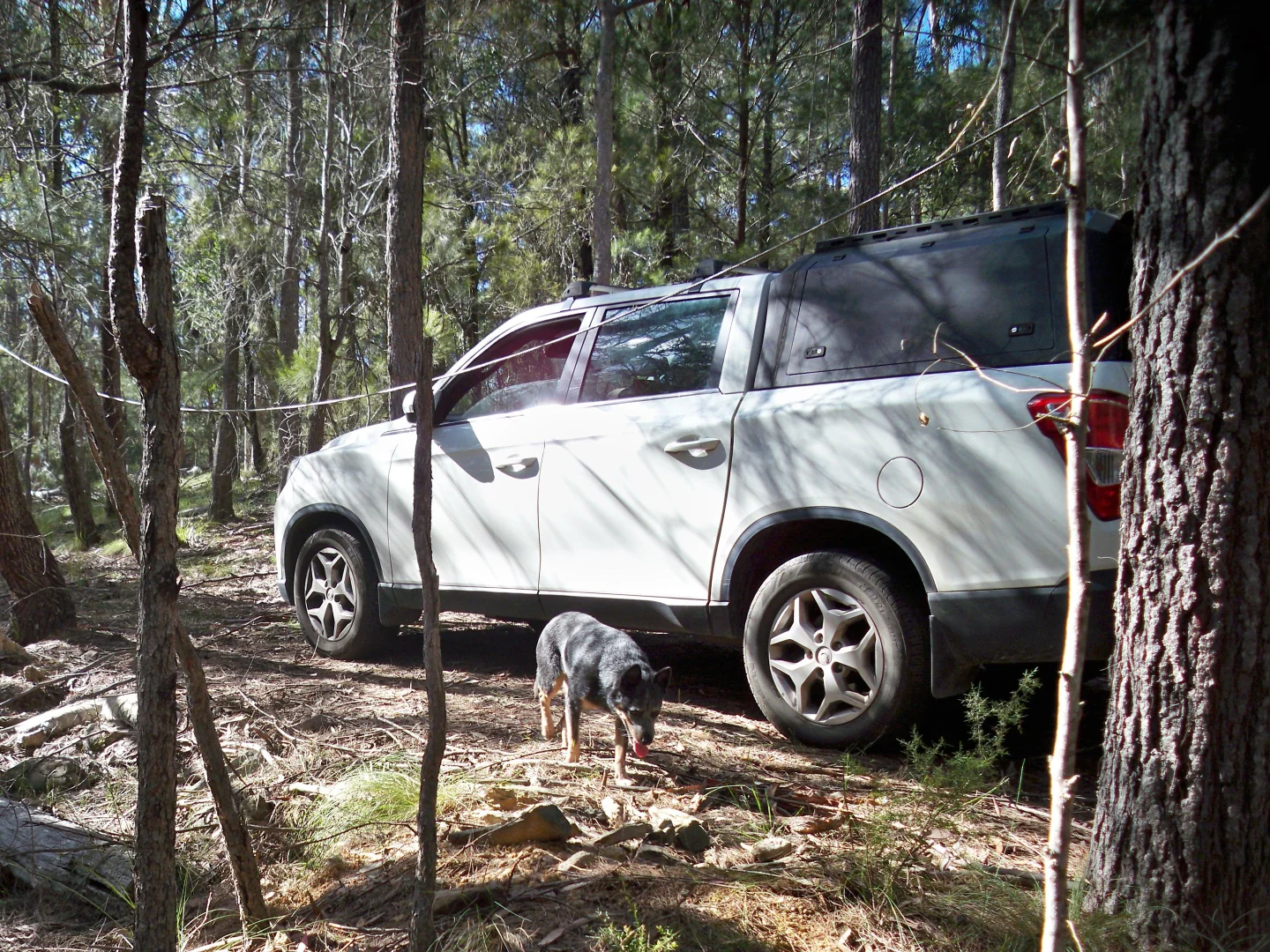 Additional image 16 of 328 Knights Creek Road, Murrah NSW 2546