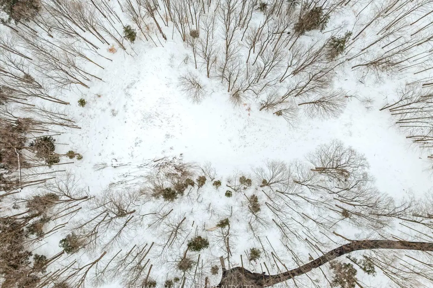 Additional image 17 of 430 Churchill Avenue