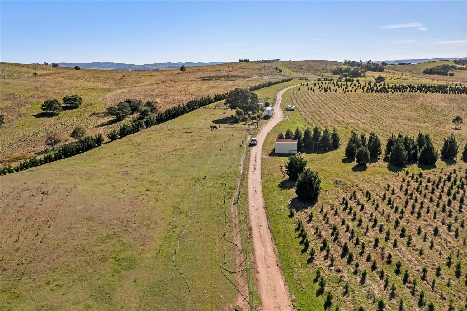 Additional image 57 of 134 Lakeview Road, Tarago NSW 2580